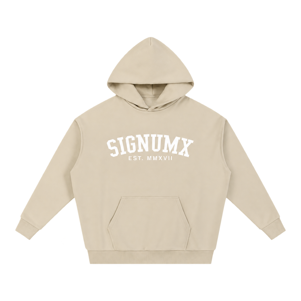 SIGNUMX Varsity Hoodie
